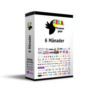 6 Månader Premium